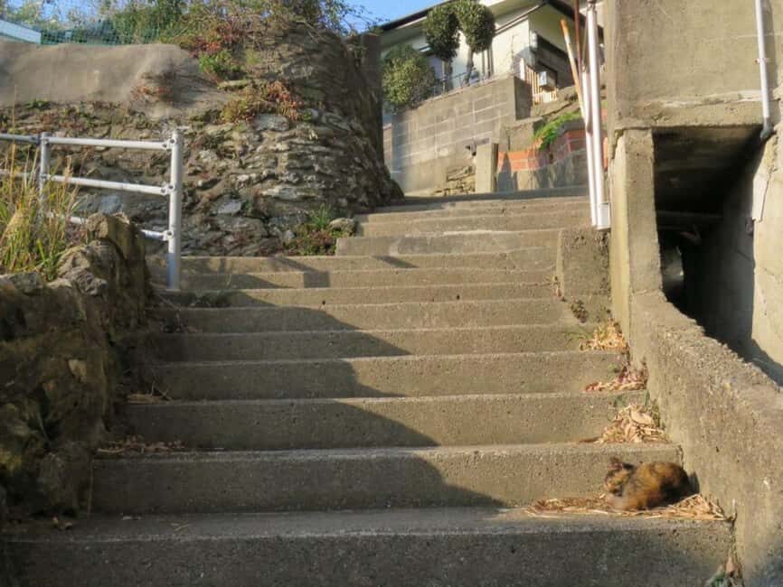 Wakayama: Saikazaki, Fishing Town Walking Tour - The Itinerary Breakdown: What You Can Expect