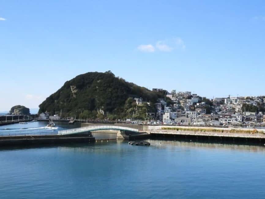Wakayama: Saikazaki, Fishing Town Walking Tour - What Makes This Tour Stand Out
