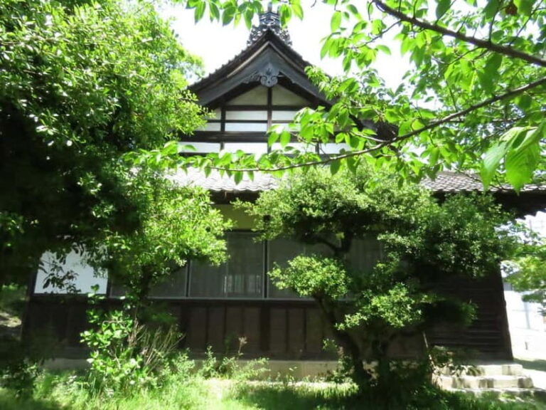 Wakayama: Samurai Experience with Castle Tour - Exploring Wakayama Castle