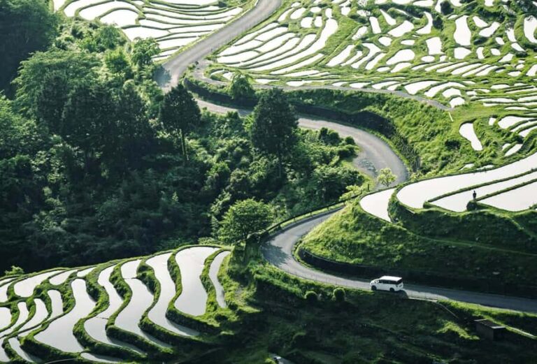 Wakayama: Shirahama & Kumano Kodo 2-Day Small-Group Tour - Why This Tour Offers Real Value