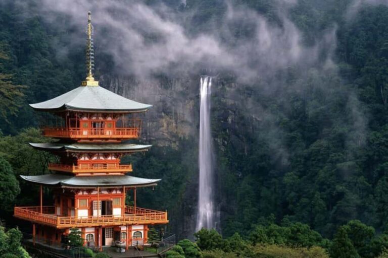 Wakayama: Shirahama & Kumano Kodo 2-Day Small-Group Tour - Practical details and value