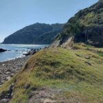 Wakayama: Tomogashima Island Hiking Tour - In-Depth Look: What to Expect from the Tour