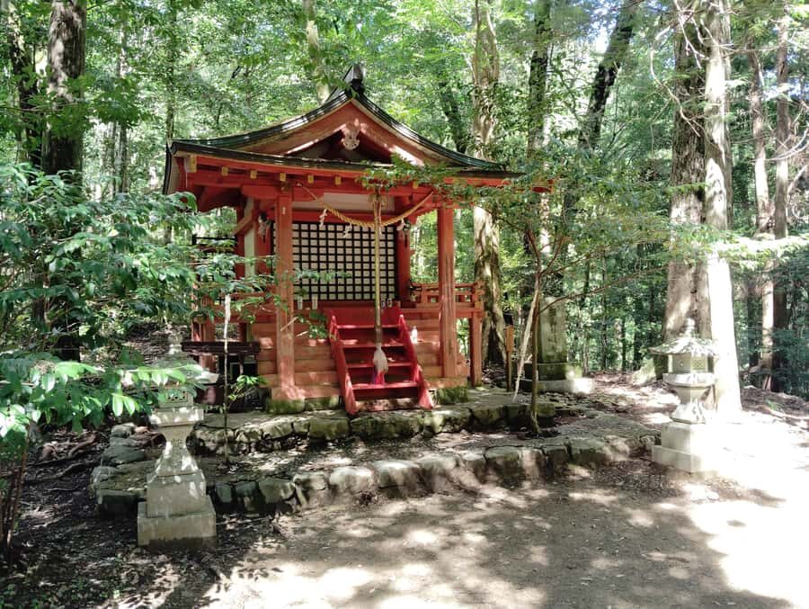 Wakayama: Walk the Kumano Kodo to Kumano Hongu Taisha - What is the Kumano Kodo Experience?