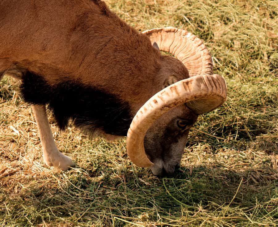 Walk in Hayat, watch the sheep, Lake Aydar, yurt and more! (3 days) - What Makes This Tour Stand Out?