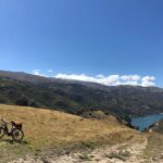 Wanaka Breweries E-Bike Tour - A Closer Look at the Wanaka Breweries E-Bike Tour