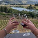 Wanaka: Vines, Wines & Good Times  Wanaka Half-Day Tour - What to Expect During the Tour