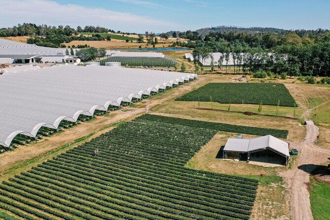 Wander the Tamar Valley - Transport, Timing, and Practical Details