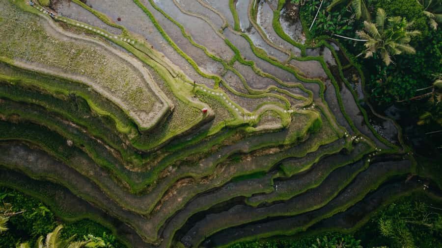 Wanderlust birthday photo and video with drone and Editing - Who Would Love This Experience?  