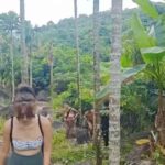 Wanning: Walking Tour in Xinglong Triangle Rainforest - Why This Tour Stands Out