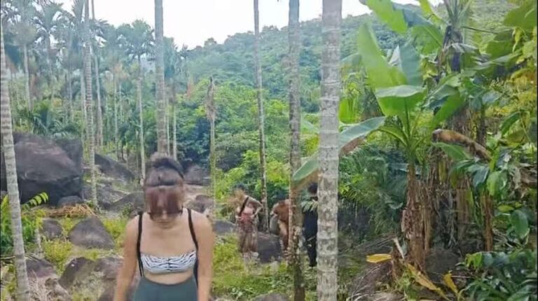 Wanning: Walking Tour in Xinglong Triangle Rainforest - Why This Tour Stands Out