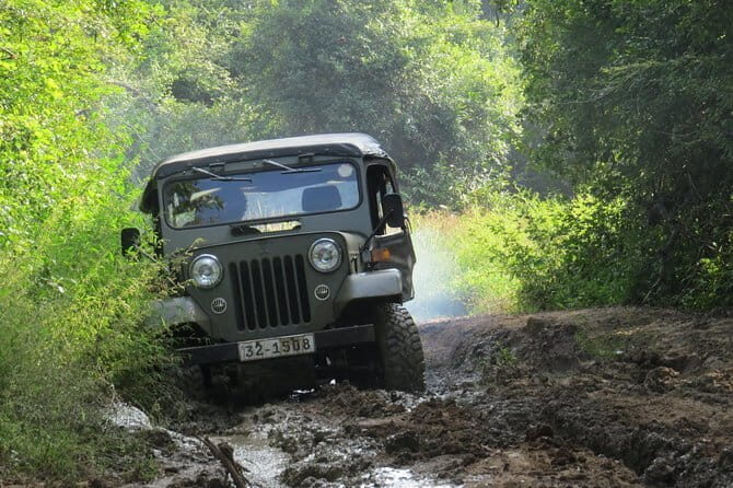 Wasgamuwa National Park Entrance Ticket with Private Safari - The Itinerary Breakdown