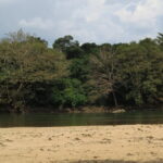 Wasgamuwa National Park Safari from Kandy - Breaking Down the Itinerary