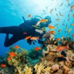 water sports experience in bali - Who Should Consider This Experience?