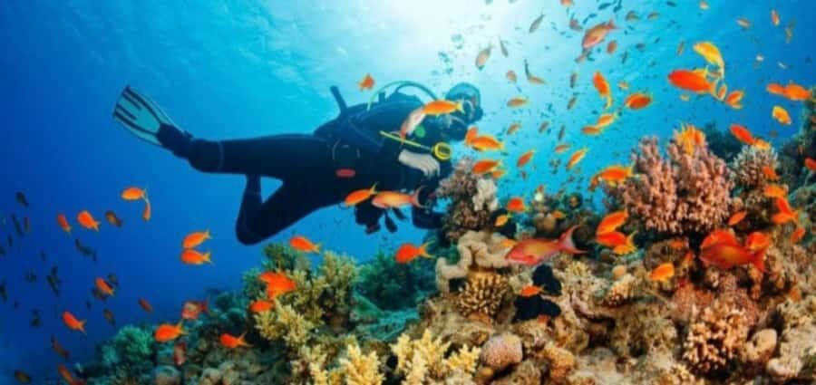 water sports experience in bali - Who Should Consider This Experience?