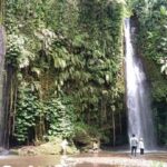 Waterfall (Stukel & Kelambu) Sukarara Village - The Itinerary Breakdown: What to Expect on This Tour