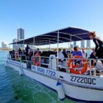 Wave Break Island Snorkel Tour on the Gold Coast - Practical Tips for Travelers