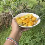 Wayanad: 2-Day Forest and Tribal Experience with Meals - Exploring the Itinerary in Detail