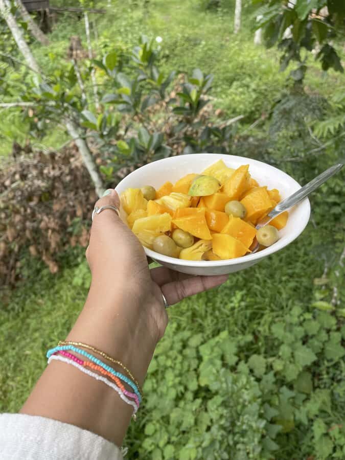 Wayanad: 2-Day Forest and Tribal Experience with Meals - Exploring the Itinerary in Detail