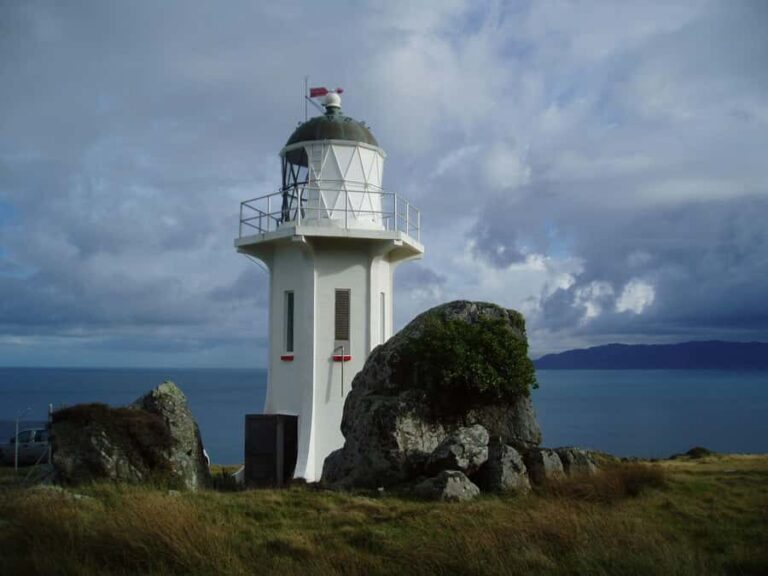 Wellington: Baring Head Lighthouse Walk - Why We Think This Tour Works