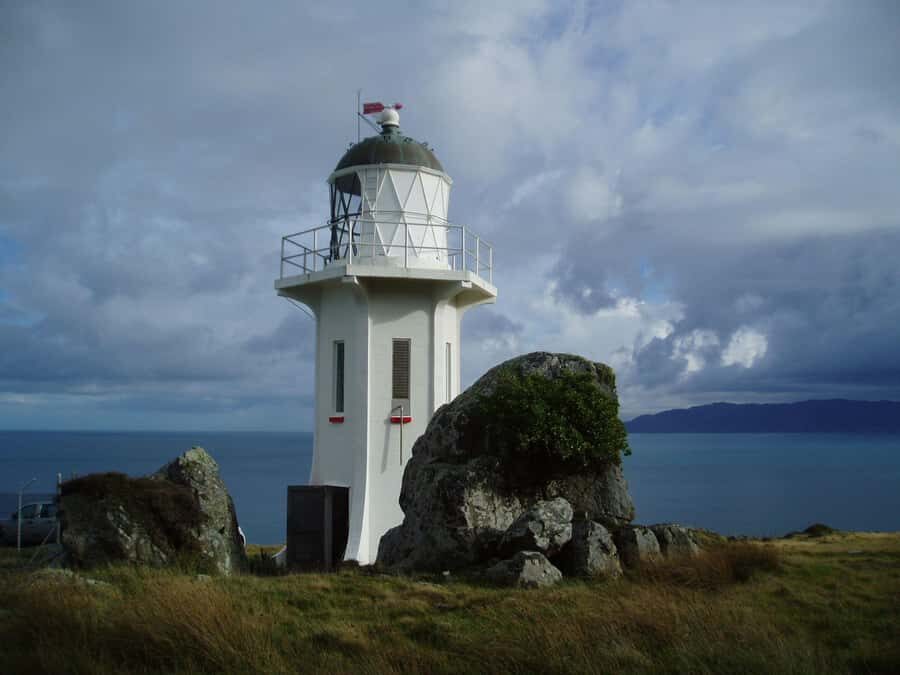 Wellington: Baring Head Lighthouse Walk - Why We Think This Tour Works