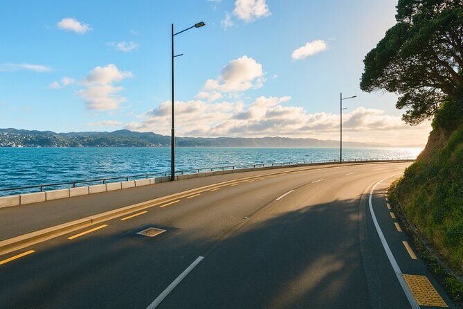 Wellington Coastal Self Drive Tour with an APP - Practicalities and What to Expect