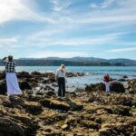 Wellington: Guided City Tour with Cable Car Ticket - What to Expect on the Tour