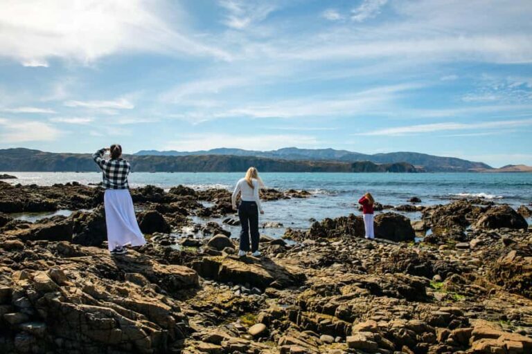 Wellington: Guided City Tour with Cable Car Ticket - What to Expect on the Tour