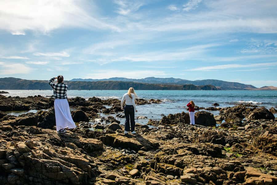 Wellington: Guided City Tour with Cable Car Ticket - What to Expect on the Tour