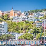 Wellington Hiking Tour: Climb & Unwind Experience - Authentic Insights from Previous Participants