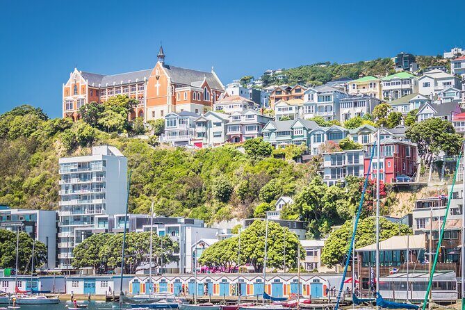 Wellington Hiking Tour: Climb & Unwind Experience - Authentic Insights from Previous Participants