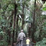 Wellington: Kapiti Coast Tour with Lunch and Entry Fees - Deep Dive into the Stops and Experiences