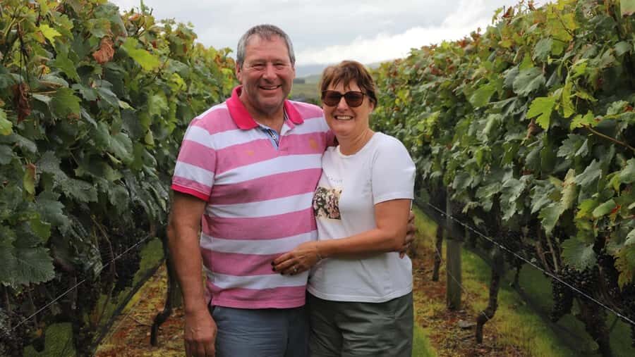 Wellington: Martinborough Private Winery Tour with Lunch - What to Expect on the Day