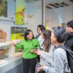 Wellington: Museum of NZ Intro Tour & General Admission - An In-Depth Look at the Te Papa Museum & Guided Tour