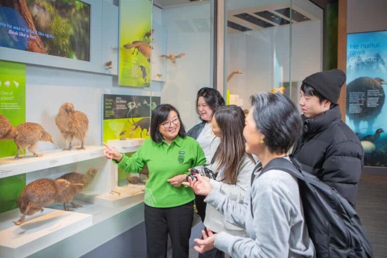 Wellington: Museum of NZ Intro Tour & General Admission - An In-Depth Look at the Te Papa Museum & Guided Tour