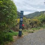 Wellington Native Bush Walking Tour - What Makes This Tour Stand Out
