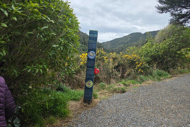 Wellington Native Bush Walking Tour - What Makes This Tour Stand Out