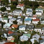 Wellington Private One Day Tour - Transportation and Group Size: Why They Matter