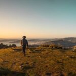 Wellington: Wild Skyline Guided Hiking Tour, Transfers + Lunch - Authentic Experiences Shared by Reviewers