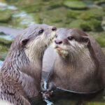 Wellington Zoo General Entry Tickets - The Experience Highlights from Visitor Feedback