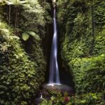 West Bali: Jatiluwih Rice Terrace and Tanah Lot Sunset Tour - Practical Details and What to Expect