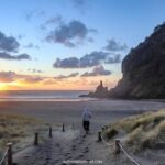 West Coast Discovery Piha Beach Private Tour - Exploring the West Coast: An In-Depth Look at the Itinerary