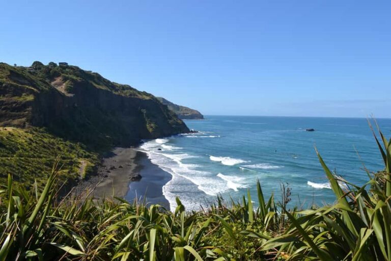 West Coast Discovery Piha Beach Private Tour - Detailed Breakdown of the Stops