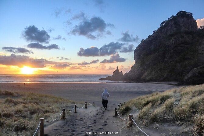 West Coast Discovery Piha Beach Private Tour - Exploring the West Coast: An In-Depth Look at the Itinerary