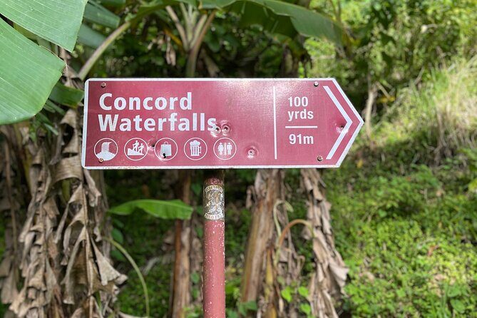 West Coast: Rum Distillery, Concord waterfall, Nutmeg processing - A Closer Look at the Itinerary