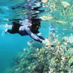 West Lombok: Gili Nanggu, Gili Sudak and Gili Kedis - The Practicalities: What’s Included & Tips