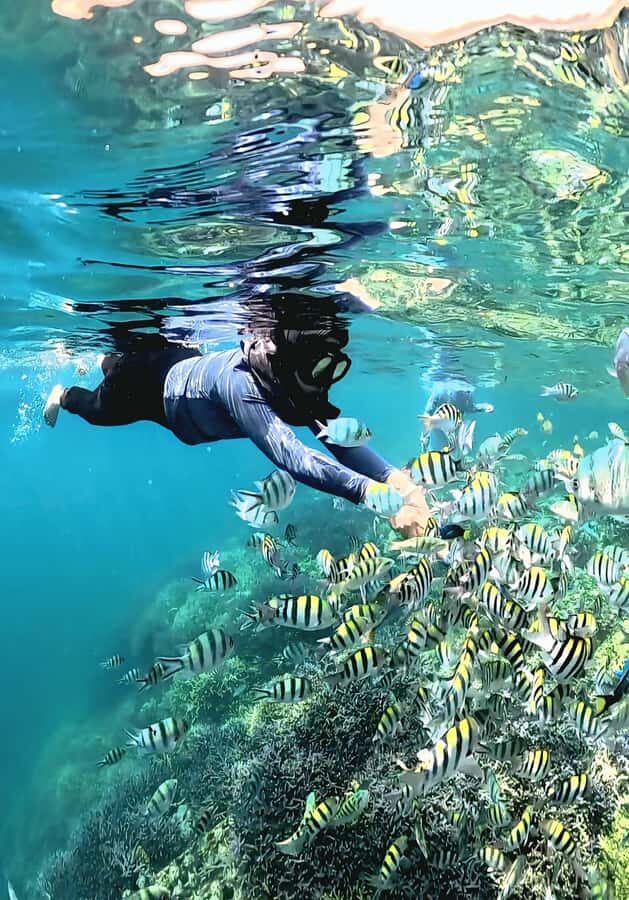 West Lombok: Gili Nanggu, Gili Sudak and Gili Kedis - The Practicalities: What’s Included & Tips