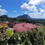 West of jeju private Jumbo taxi tour with Mr.KO (Suhong) - The Convenience and Comfort of Private Transportation