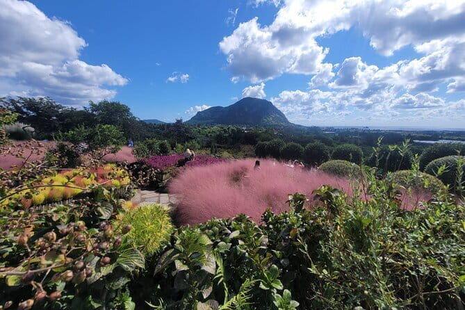 West of jeju private Jumbo taxi tour with Mr.KO (Suhong) - The Convenience and Comfort of Private Transportation