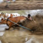 West Sumatra Private Tour from Padang By Private Car - FAQ