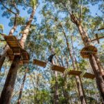 Western Sydney Tree Ropes Course - Summary of Pros and Cons